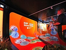 Сергунина: Московские стартапы в сфере архитектуры и дизайна пройдут программу акселерации