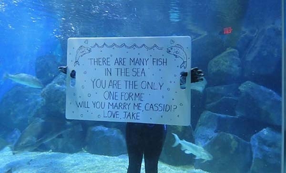 Игра слов: "В море плавает столько рыб, но ты для меня та самая! Выйдешь за меня, Кэссиди?".