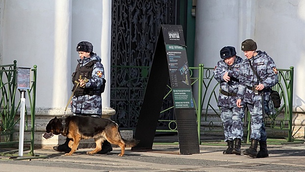 Росгвардия прокомментировала задержание полковника