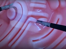 В Обнинске открылся симуляционный центр подготовки хирургов