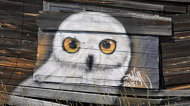 Неизвестный художник рисует необычные муралы в Мужах