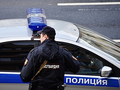 В Мурманской области раскрыли итоги операции по пресечению незаконного оборота запрещенных веществ