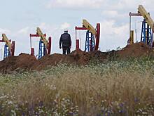 В России забеспокоились из-за снижения цен на нефть