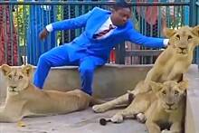 Пастор решил повторить библейское чудо и вошел в клетку со львами