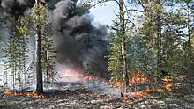 В Иркутской области площадь лесных пожаров выросла за выходные почти на 4 тыс. га