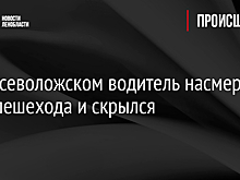 Под Всеволожском водитель насмерть сбил пешехода и скрылся