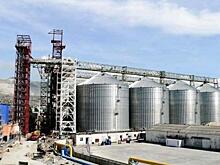 Более 6 млрд руб. будет вложено в создание зернового терминала на границе с Китаем