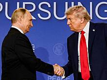 В Совфеде предупредили о возможных попытках срыва встречи Путина и Трампа