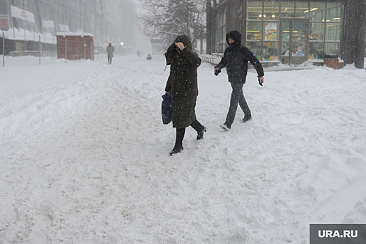 В Челябинской области предупредили о снежных заносах и метелях 9 февраля