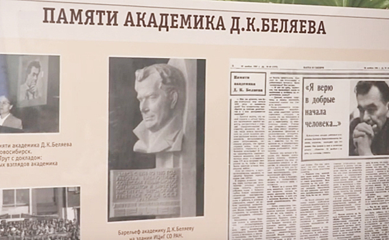 Музей генетики открыли в Академгородке