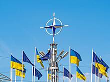Бывший посол России назвал гарантии безопасности для Украины опасной затеей