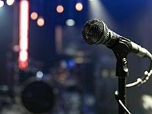 Концерты под фонограмму могут стать дешевле