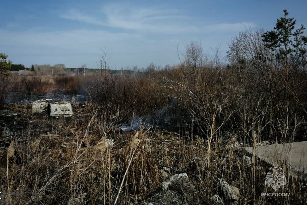 Неизвестные едва не спалили село в Свердловской области — выгорело почти 1,5 гектара травы и кустов