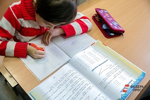 «Двойка» за учебник: в Дагестане школьница может выйти на пикет за несправедливую оценку