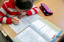 «Двойка» за учебник: в Дагестане школьница может выйти на пикет за несправедливую оценку