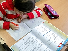 Политолог Андрей Лавров об инициативе ввести курс логики в школах: «Инициатива благая, но не выполнимая»