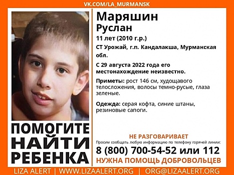 В дачном товариществе в Мурманской области пропал 11-летний мальчик, который не разговаривает