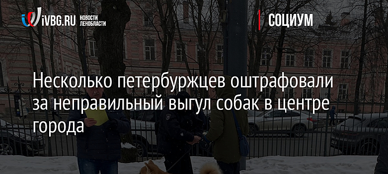 Несколько петербуржцев оштрафовали за неправильный выгул собак в центре города