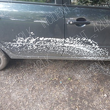 Соцсети: дворники запачкали машину кузбассовца во время покраски деревьев