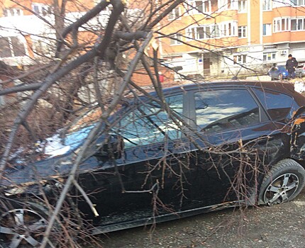 В Тюмени дерево упало на автомобиль, который уже был разбит