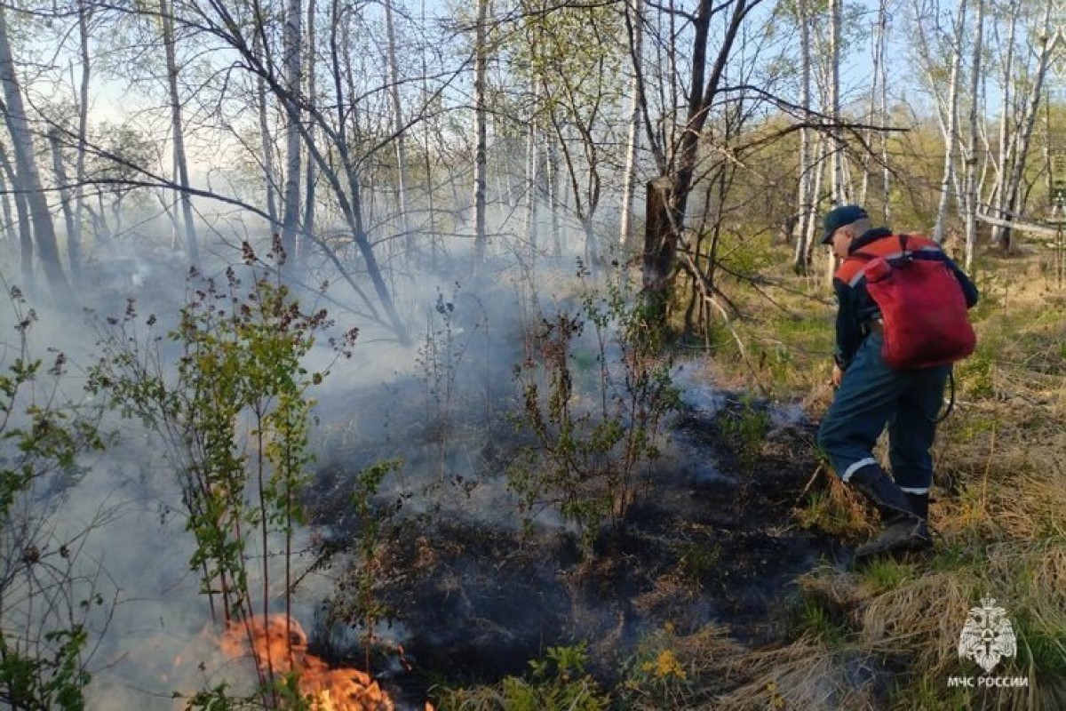 В Хабаровском крае за сутки потушили более 40 ландшафтных пожаров