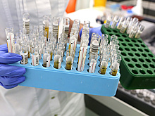 В нескольких брендах растительных котлет нашли кишечную палочку и плесень