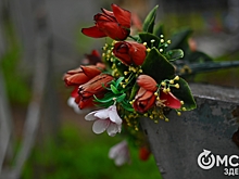 В Омске собирают средства на памятник известному учёному