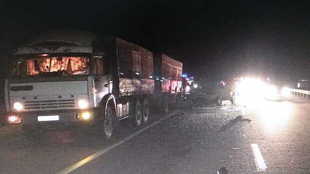 На Дону возбудили уголовное дело после аварии с шестью погибшими