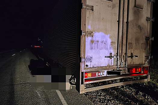 Виновника смертельного ДТП на трассе под Новосибирском объявили в розыск