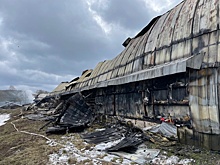 74 тысячи цыплят погибли при пожаре на калужской птицефабрике