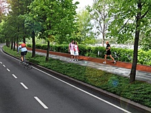 В Москве начались работы по благоустройству Воробьевской набережной