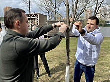 Сезон выездных бракосочетаний открыли в Реутове