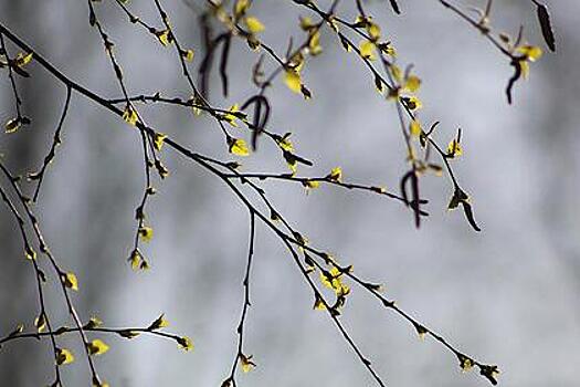 Ряду россиян запретили проветривать квартиру