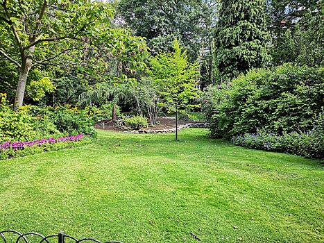 Агроном раскрыл секреты уборки сорняков без вреда для участка