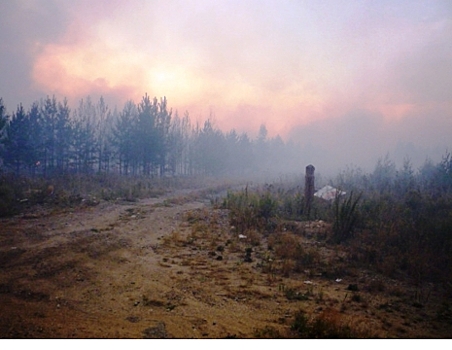 Два министерства не могут определиться с механизмом выплат компенсации фермерам за тушение ландшафтных пожаров