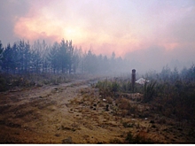 Два министерства не могут определиться с механизмом выплат компенсации фермерам за тушение ландшафтных пожаров