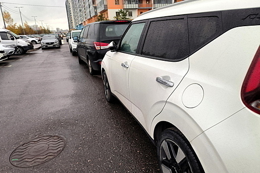 Самозанятым водителям в России готовят отдельный закон