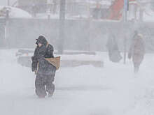 Гидрометцентр: снегопад в Москве от 9 января стал пятым по силе за 146 лет