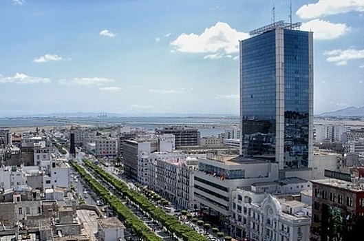 Транши МВФ обернутся для Туниса потерей природных ресурсов, считает эксперт