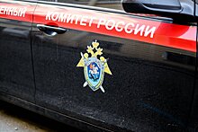 Мужчину задержали после убийства знакомой в ходе ссоры в Подмосковье