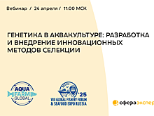 Генетика в аквакультуре: как селекция меняет будущее рыбоводства