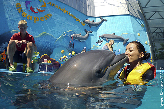 Почему в Кремле призывают запретить дельфинарии?