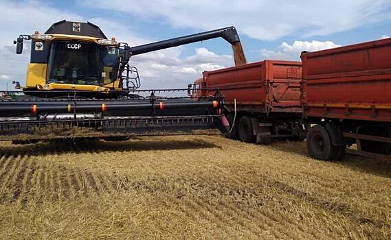 В Курской области на полях убрано 30 тыс.га зерновых