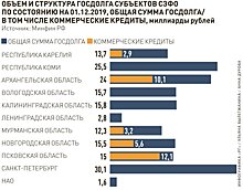 Госдолг регионов СЗФО сократился за счет отказа от коммерческих займов