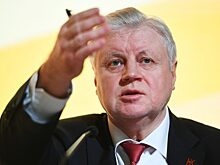 Миронов предложил начать передавать пенсии по наследству