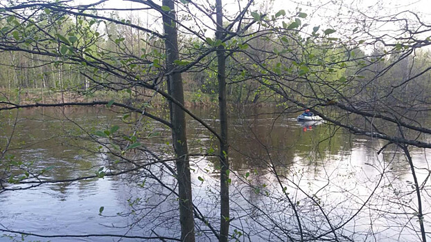 Волонтеры рассказали, как проходили поиски пропавшего ребенка в Городецком районе