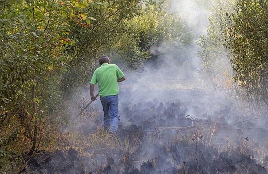 Самой вероятной причиной горения торфяников в Екатеринбурге назван поджог