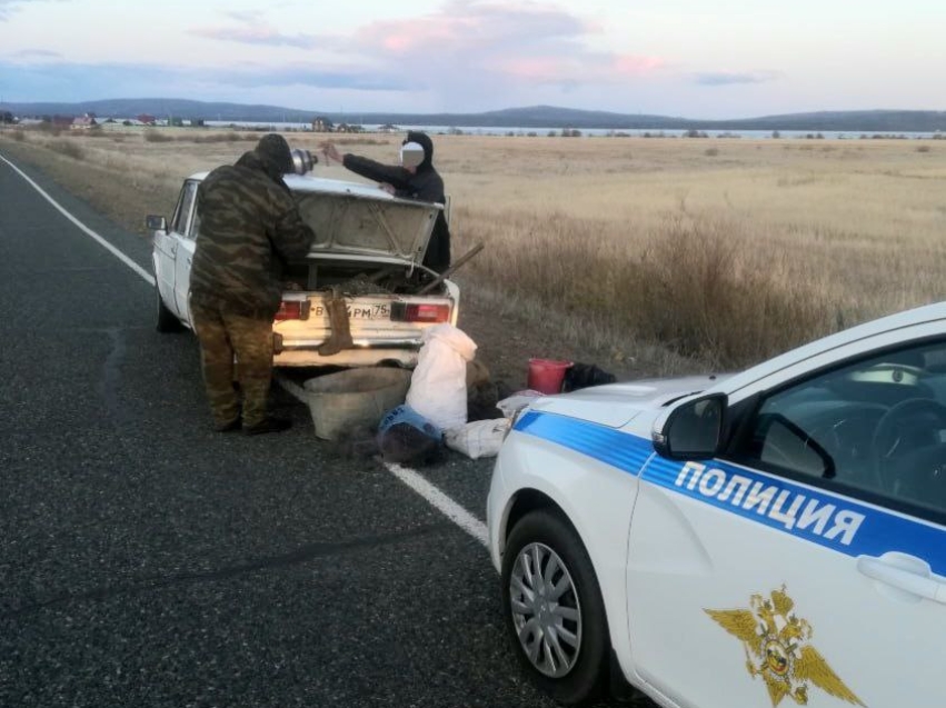 Сотрудники Минприроды Забайкалья поймали браконьеров в Ивано-Арахлейском парке