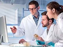 Государство и бизнес развивают меры поддержки ученых