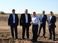 В Волгоградской области уже собрали более 500 тысяч тонн овощей